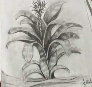 61E3CE37-E035-4894-94E1-81D8EE5F86FC.jpg